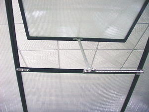 Not Coated Frame Finishing 6ft X 8ft Large Garden Greenhouse for Outdoor Gardening