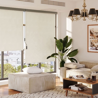 Balcony Sun and Privacy Protection Hand Crank Mechanism Vertical Outdoor Roller Blind