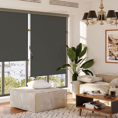 UV Protection Drop Awning with Hand-cranked Box for Balcony and Patio Vertical Awning