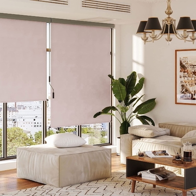 Aluminum Frame Manual Operation Sunscreen Awning for Vertical Windows and Roller Blinds